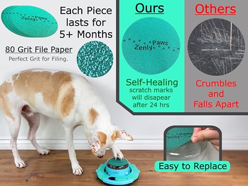 Zenly Paws self-healing 80 grit file paper compared with ordinary sandpaper that crumbles